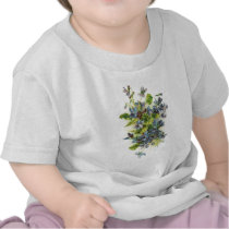 violets