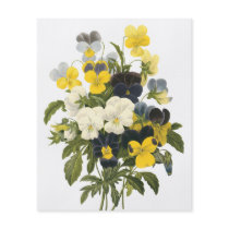 Violets and Pansy Flowers Botanical Art