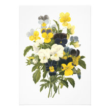 Violets and Pansy Flowers Botanical Art Announcement