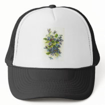 violets