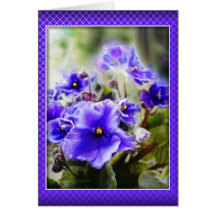Violets in the Window - Card