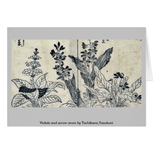 Violettes et arum de flèche par Tachibana, Yasukun Carte De Vœux