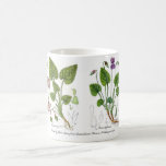Violettes Tasse À Café