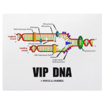 VIP DNA (DNA Replication Humour)