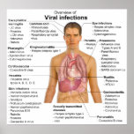 Viral Infections and the Species Involved Chart posters