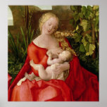 Virgin and Child 'Madonna with the Iris', 1508 Print