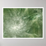 Virgin Flora posters