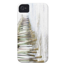 Virginia Beach Pier Case-Mate iPhone 4 Cases