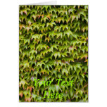 Virginia Creeper Card