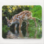 Virginia Deer Fawn Baby Animal Wildlife Art Mouse Pads