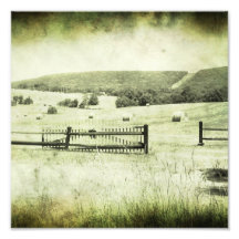 Virginia Hayfield Photograph
