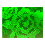 Viridian Fantasy Postcard
