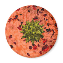 virus in bloodstream refrigerator magnet
