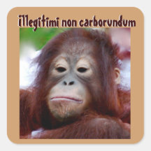 Visages animaux : D'Illegitimi carborundum non Autocollant Carré