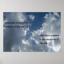 Vision and memory poster