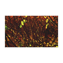 vision de buisson impression sur toile