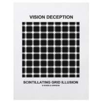 Vision Deception Scintillating Grid Illusion