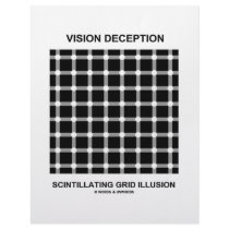 Vision Deception Scintillating Grid Illusion