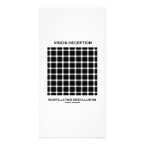 Vision Deception Scintillating Grid Illusion