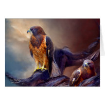 Vision Of The Hawk 2 ArtCard