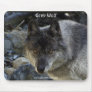 "Vision Quest" Grey Wolf Mousepad