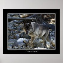 "Vision Quest" Grey Wolf Poster