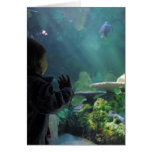 Visionneuse de réservoir de tortue cartes de vœux