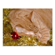 Visions of catnip sugar plums postcard