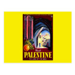 Visit Palestine The Land Of The Bible Postcards