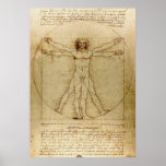 Vitruvian Man, Leonardo da Vinci Poster