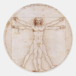 Vitruvian Man Round Stickers