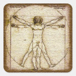 vitruvian man vector image digital design burlap square sticker