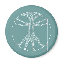 Vitruvian Oak