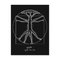 Vitruvian Oak