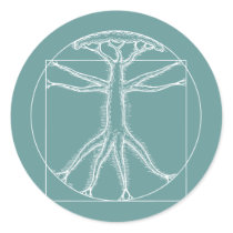 Vitruvian Oak