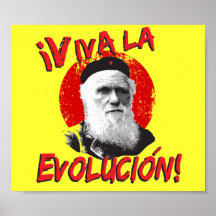 Viva La Evolucion! Poster