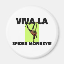 Viva La Spider Monkeys Magnets