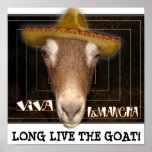 VIVA LAMANCHA, LONG LIVE THE GOAT!