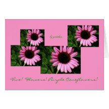 Vive! Flowers! Purple Coneflowers! Greeting Card