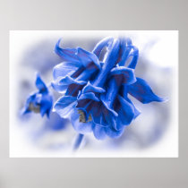 Vivid Blue Columbine Print