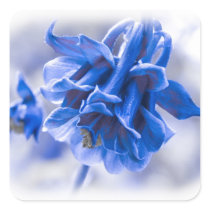 Vivid Blue Columbine Sticker