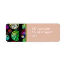 Vivid Labels