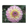 Vivid Lavender Creme Dahlia Postcards