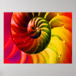 Vivid Seashell Swirly In Techno Colour Poster