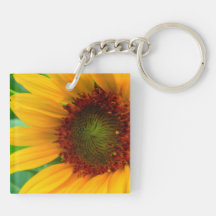 VIVID SUNFLOWER II