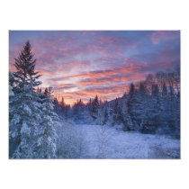 Vivid sunset paints the sky above wintery