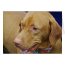 Vizsla Dog Greeting Card