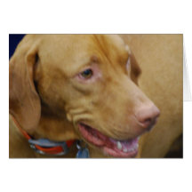 Vizsla  Greeting Cards