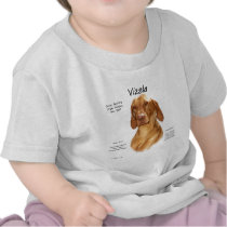Vizsla History Design