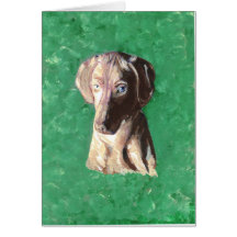 Vizsla, Hungarian Pointer Cards